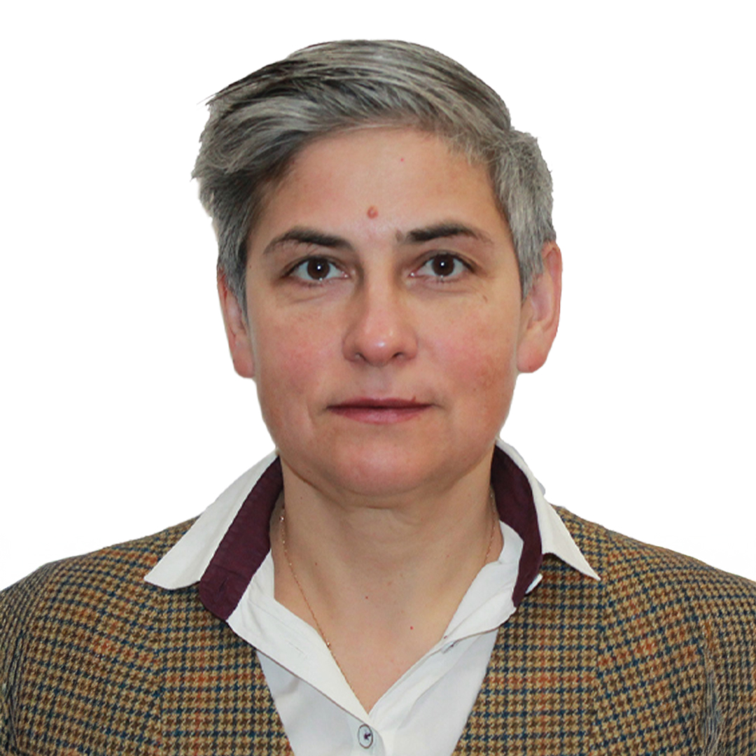 إلينا سوبونينا